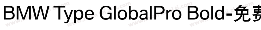 BMW Type GlobalPro Bold字体转换